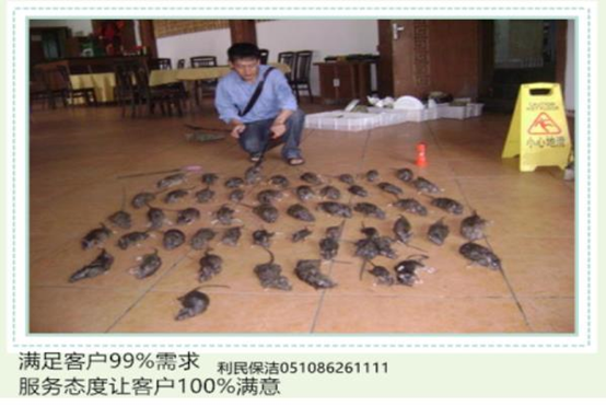 滅老鼠