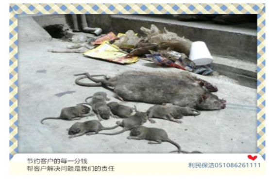滅老鼠